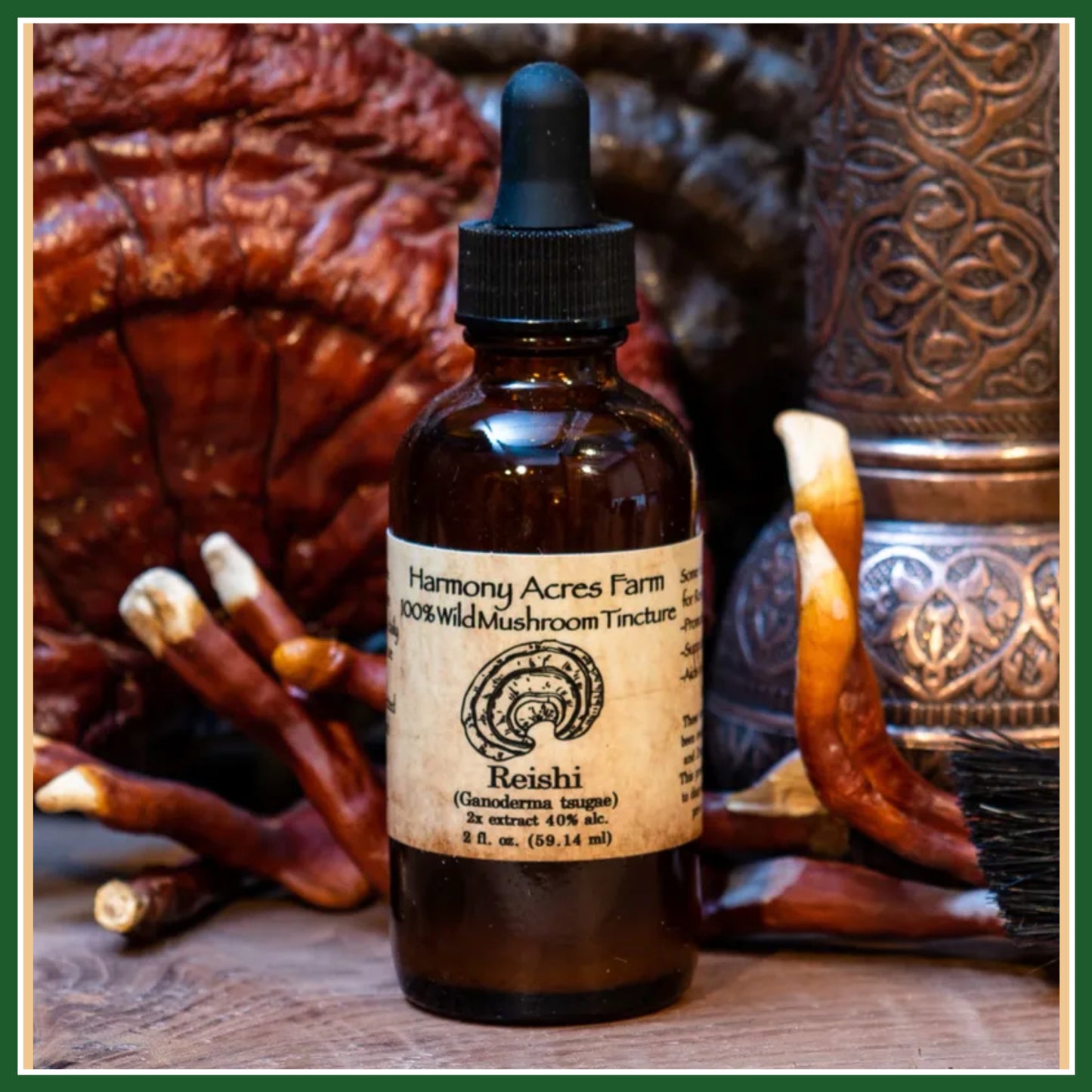 Reishi Mushroom Tincture