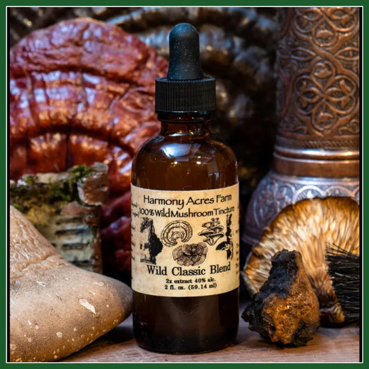Wild Classic Mushroom Tincture
